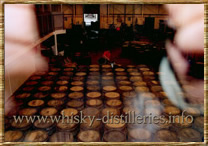 Speyside Cooperage